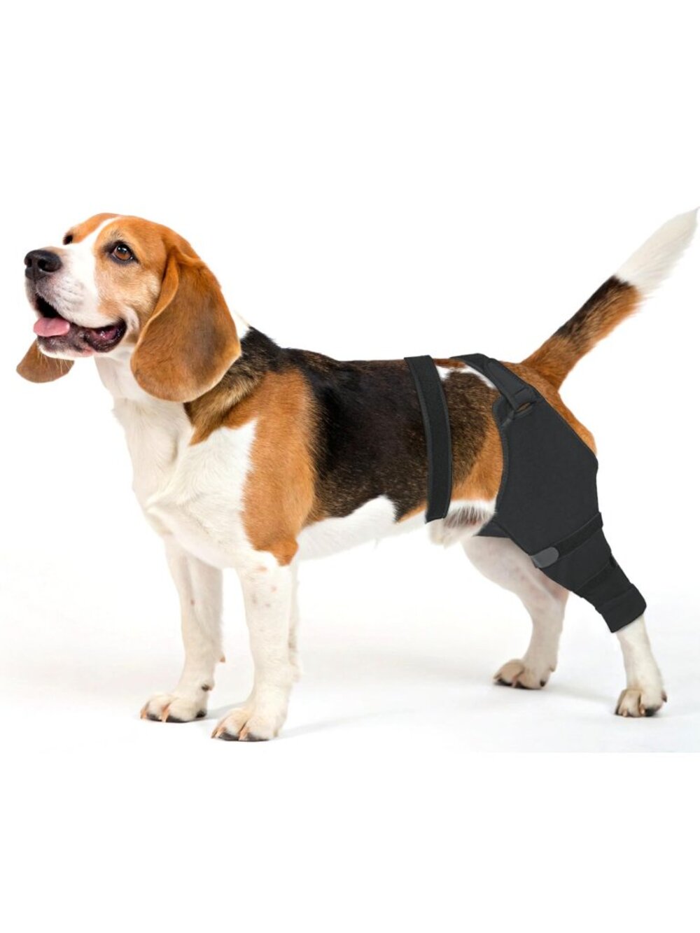 Joypig XXL Dog Rear Leg Sleeve - Hind Leg Protector for Recovery Right Leg